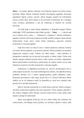 Darbo su vaikais, patyrusiais tėvų skyrybas ypatumai 2 puslapis