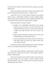 Darbo su vaikais, patyrusiais tėvų skyrybas ypatumai 3 puslapis