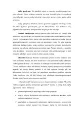 Darbo su vaikais, patyrusiais tėvų skyrybas ypatumai 4 puslapis