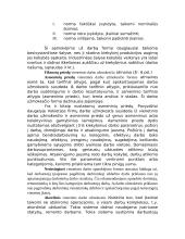 Darbo užmokesčio formos 11 puslapis