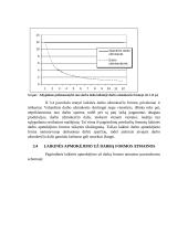 Darbo užmokesčio formos 13 puslapis