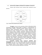 Darbo užmokesčio formos 9 puslapis