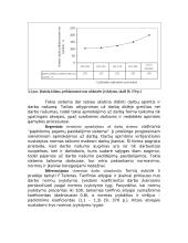 Darbo užmokesčio formos 10 puslapis