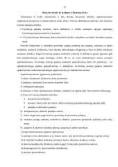Darbo užmokesčio tvarka įmonėje 12 puslapis