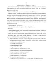Darbo užmokesčio tvarka įmonėje 7 puslapis