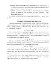 Darbo užmokesčio tvarka įmonėje 8 puslapis