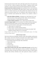 Darbo užmokestis Lietuvoje ir Europos sąjungos šalyse 3 puslapis