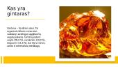 Gintaras. Skaidrės 2 puslapis
