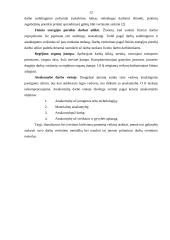 Darbo vertinimo metodai 12 puslapis