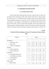 Darbo vertinimo metodai 6 puslapis