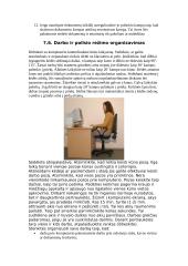 Darbo vietos ergonomika 13 puslapis