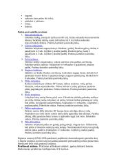 Darbo vietos ergonomika 15 puslapis