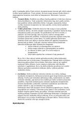 Darbo vietos ergonomika 19 puslapis