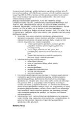 Darbo vietos ergonomika 20 puslapis