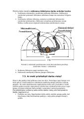 Darbo vietos ergonomika 10 puslapis