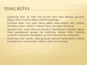 Teisių ir pareigų vienovė vaiko teisių Konvencijoje 3 puslapis