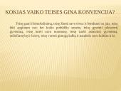 Teisių ir pareigų vienovė vaiko teisių Konvencijoje 4 puslapis