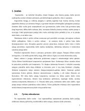 Darbo vietos projektavimas 3 puslapis