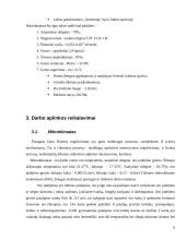 Darbo vietos projektavimas 6 puslapis