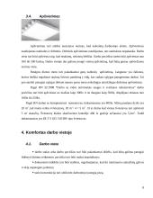 Darbo vietos projektavimas 8 puslapis