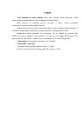 Atvejo analizė įmonėje UAB ,, NT pigiau“ 2 puslapis