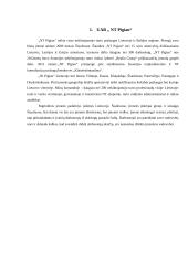 Atvejo analizė įmonėje UAB ,, NT pigiau“ 3 puslapis