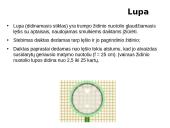 Optiniai prietaisai didinantys regėjimo kampą 3 puslapis