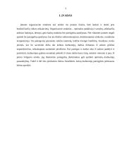 Darbo vietų aprašymas (pareiginės instrukcijos) 3 puslapis