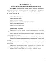 Trasos išilginio ir skersinio profilio sudarymas  2 puslapis