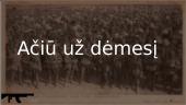 Pirmasis pasaulinis karas. Skaidrės 11 puslapis