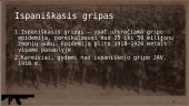 Pirmasis pasaulinis karas. Skaidrės 2 puslapis