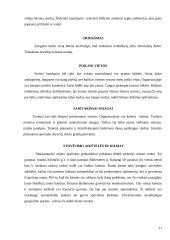 Darbo vietų higieninis įvertinimas 11 puslapis