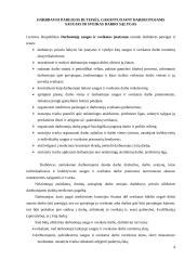 Darbo vietų higieninis įvertinimas 4 puslapis