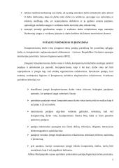 Darbo vietų higieninis įvertinimas 5 puslapis
