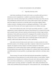 NEO PI-R profilio interpretacija 3 puslapis