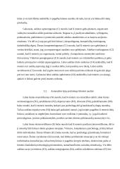 NEO PI-R profilio interpretacija 4 puslapis