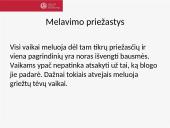 Vaikų melavimas. Ką daryti treneriui? 7 puslapis