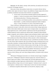 Darbuotojų motyvacijos principai ir jų įgyvendinimas 2 puslapis