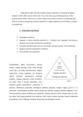 Darbuotojų motyvacijos sistemos 5 puslapis