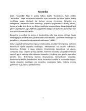 Technologinio darbo aprašas ‚‚Šaltekų servyzas“ 2 puslapis