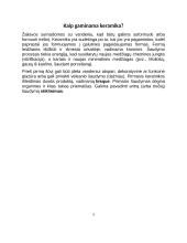 Technologinio darbo aprašas ‚‚Šaltekų servyzas“ 4 puslapis