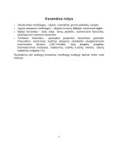 Technologinio darbo aprašas ‚‚Šaltekų servyzas“ 5 puslapis