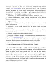 Darbuotojų motyvavimas ir jo reikšmė organizacijos veikloje 18 puslapis