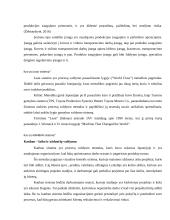 Sandėliavimo procesų gerinimas  14 puslapis