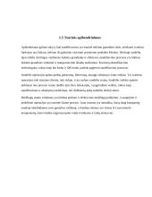 Sandėliavimo procesų gerinimas  15 puslapis