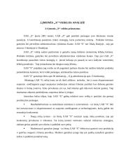 Sandėliavimo procesų gerinimas  16 puslapis