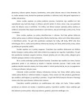 Sandėliavimo procesų gerinimas  18 puslapis