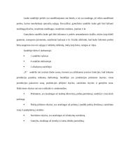 Sandėliavimo procesų gerinimas  19 puslapis