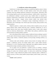 Sandėliavimo procesų gerinimas  4 puslapis