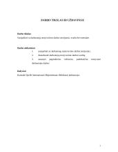 Darbuotojų motyvavimo darbui programa 2 puslapis